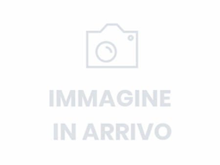 IMG 9255